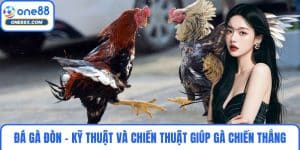 Đá Gà Đòn - Kỹ Thuật Và Chiến Thuật Giúp Gà Chiến Thắng