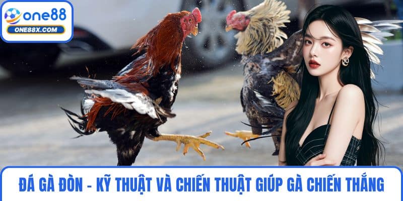 Đá Gà Đòn - Kỹ Thuật Và Chiến Thuật Giúp Gà Chiến Thắng