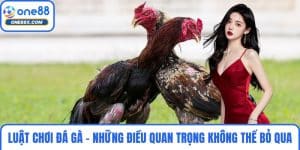 Luật Chơi Đá Gà - Những Điều Quan Trọng Không Thể Bỏ Qua